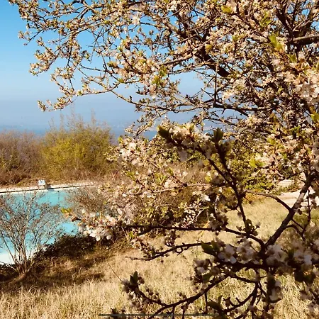Acero Villa Torri Del Benaco